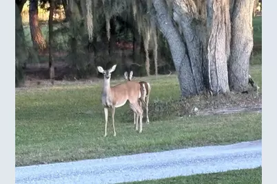 1950 Bern Creek Loop, Sarasota, FL 34240 - Photo 59