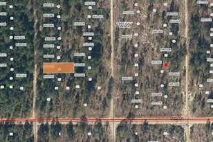 Lot 37 Paxon, Interlachen, FL 32148 - Photo 1