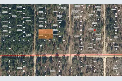 Lot 36 Paxon, Interlachen, FL 32148 - Photo 5