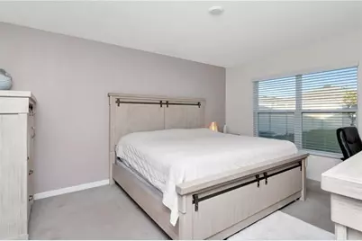 16742 Sunburst Lake Street, Wimauma, FL 33598 - Photo 17