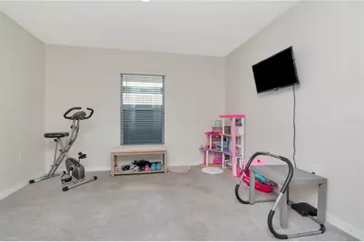 16742 Sunburst Lake Street, Wimauma, FL 33598 - Photo 21