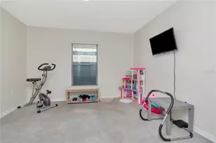 16742 Sunburst Lake St, Wimauma, FL 33598 - Photo 21