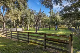 14298 Mossy Oak Ln, Myakka City, FL 34251 - Photo 11