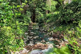 215 48th St NW, Bradenton, FL 34209 - Photo 11