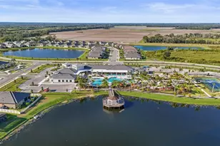 12219 Violet Jasper Dr, Parrish, FL 34219 - Photo 67