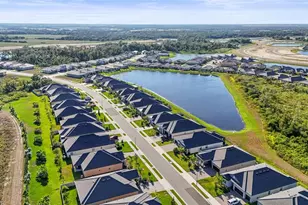 12219 Violet Jasper Dr, Parrish, FL 34219 - Photo 59