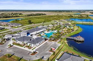 12219 Violet Jasper Dr, Parrish, FL 34219 - Photo 63