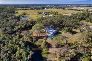 5310 Jim Davis Rd, Parrish, FL 34219 - Photo 63