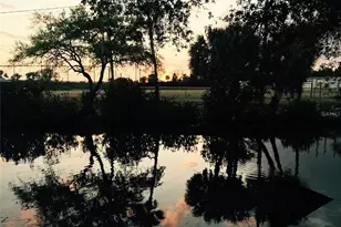 8823 Oak St, Riverview, FL 33578 - Photo 9