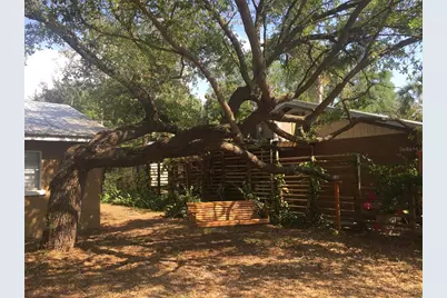 8823 Oak Street, Riverview, FL 33578 - Photo 7