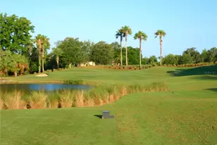 9019 Heritage Sound Dr, Bradenton, FL 34212 - Photo 59