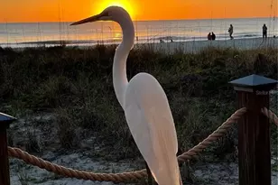 2819 Gulf of Mexico Dr, Longboat Key, FL 34228 - Photo 35