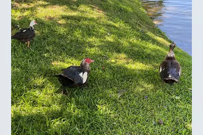 3927 Lake Bayshore Drive #F312, Bradenton, FL 34205 - Photo 47