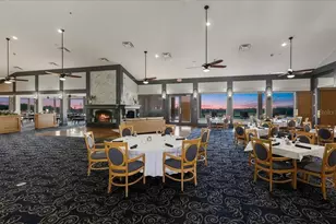 11806 Oak Ridge Dr, Parrish, FL 34219 - Photo 59