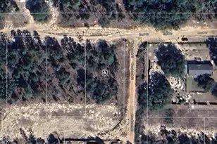 7232 Woodstock St, Keystone Heights, FL 32656 - Photo 1