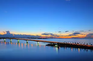 527 Freeling Dr, Sarasota, FL 34242 - Photo 13