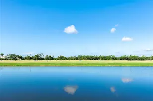 10817 Gentle Current Wy, Parrish, FL 34219 - Photo 45