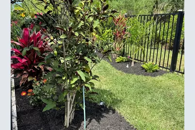 20 Spring Street, Palm Coast, FL 32164 - Photo 45