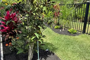 20 Spring St, Palm Coast, FL 32164 - Photo 45