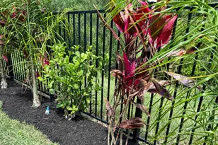 20 Spring St, Palm Coast, FL 32164 - Photo 47