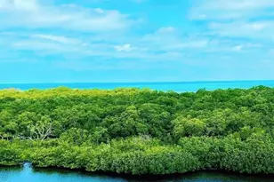 2408 89th St NW, Bradenton, FL 34209 - Photo 59