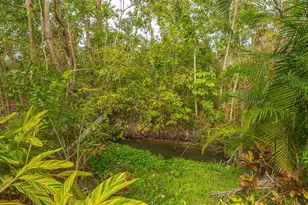 1621 Clower Creek Dr, Sarasota, FL 34231 - Photo 41