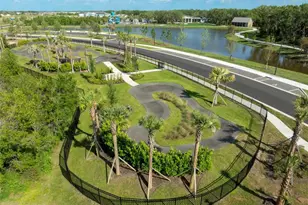 9125 Warm Spgs Cir, Parrish, FL 34219 - Photo 41