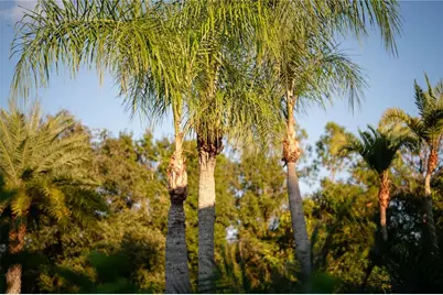 18702 69th Avenue E, Bradenton, FL 34211 - Photo 57