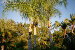 18702 69th Ave E, Bradenton, FL 34211 - Photo 57