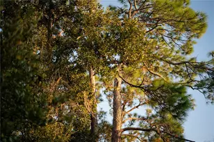 18702 69th Ave E, Bradenton, FL 34211 - Photo 63