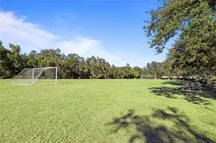 14911 18th Run E, Parrish, FL 34219 - Photo 43