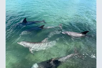 929 Casey Cove Drive, Nokomis, FL 34275 - Photo 57