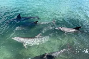 929 Casey Cove Dr, Nokomis, FL 34275 - Photo 57