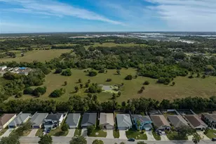 2406 29th Ave E, Palmetto, FL 34221 - Photo 35