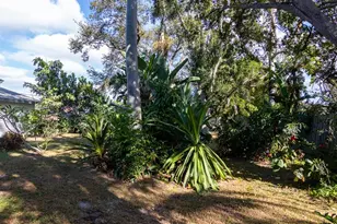 3226 Patton St, Sarasota, FL 34235 - Photo 25