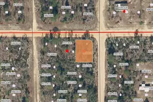 05-10-24-9045-0070-0010 Twin Lakes Blvd, Interlachen, FL 32148 - Photo 1