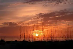 3540 Bayou Cir, Longboat Key, FL 34228 - Photo 59