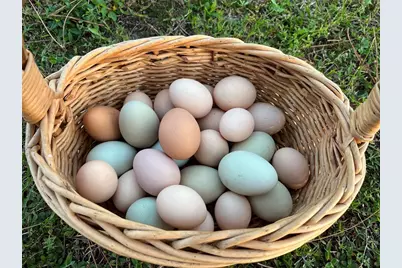 6570 Old Ranch Road, Sarasota, FL 34241 - Photo 39