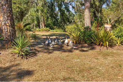 6570 Old Ranch Road, Sarasota, FL 34241 - Photo 55