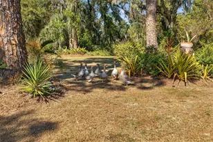 6570 Old Ranch Rd, Sarasota, FL 34241 - Photo 55