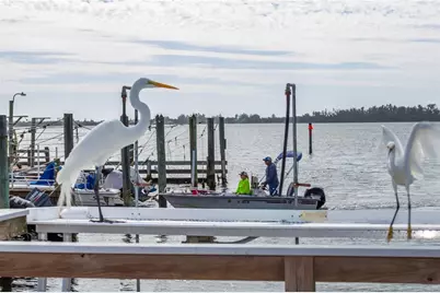 10315 Cortez Road W #4-4, Bradenton, FL 34210 - Photo 5