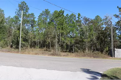 Tbd SW Indian Hill Drive, Dunnellon, FL 34431 - Photo 11
