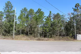 Tbd SW Indian Hill Dr, Dunnellon, FL 34431 - Photo 1