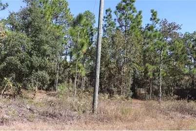 Tbd SW Indian Hill Drive, Dunnellon, FL 34431 - Photo 13