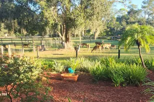 4708 Hidden River Rd, Sarasota, FL 34240 - Photo 67