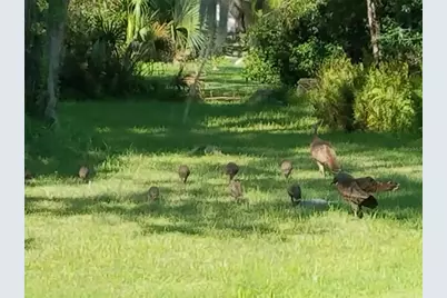 4708 Hidden River Road, Sarasota, FL 34240 - Photo 63