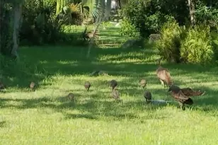 4708 Hidden River Rd, Sarasota, FL 34240 - Photo 63