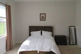 6969 Indus Valley Cir, Parrish, FL 34219 - Photo 9