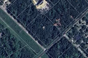 8783 N Buttercup Way, Crystal River, FL 34428 - Photo 1