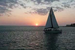 1641 Memory Ln, Sarasota, FL 34231 - Photo 63